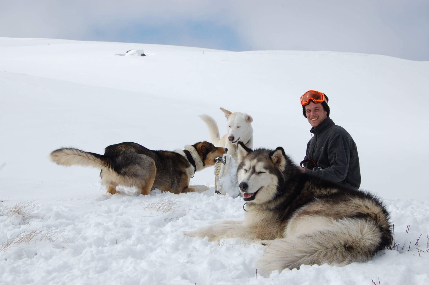 【Arctic Adventure】September 12 – September 18 | Aurora Borealis | Arctic Ocean | Wildlife | Indigenous Culture | Soft Adventure